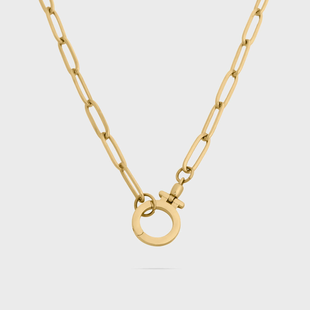 Circle Carabiner Necklace