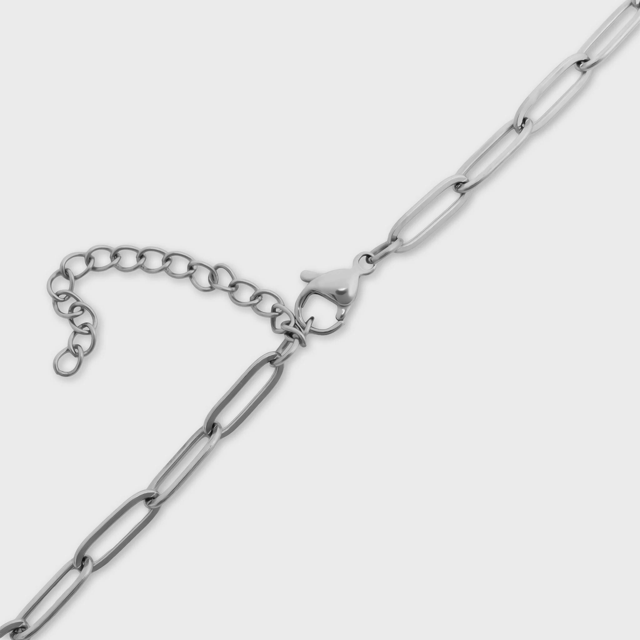 Circle Carabiner Necklace
