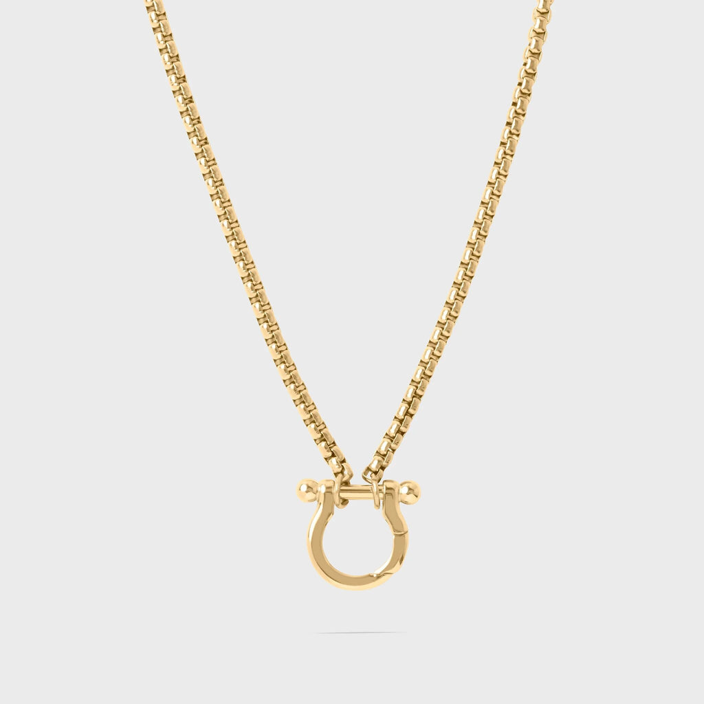 Gold necklace with a horse shoe clasp on a light gray background