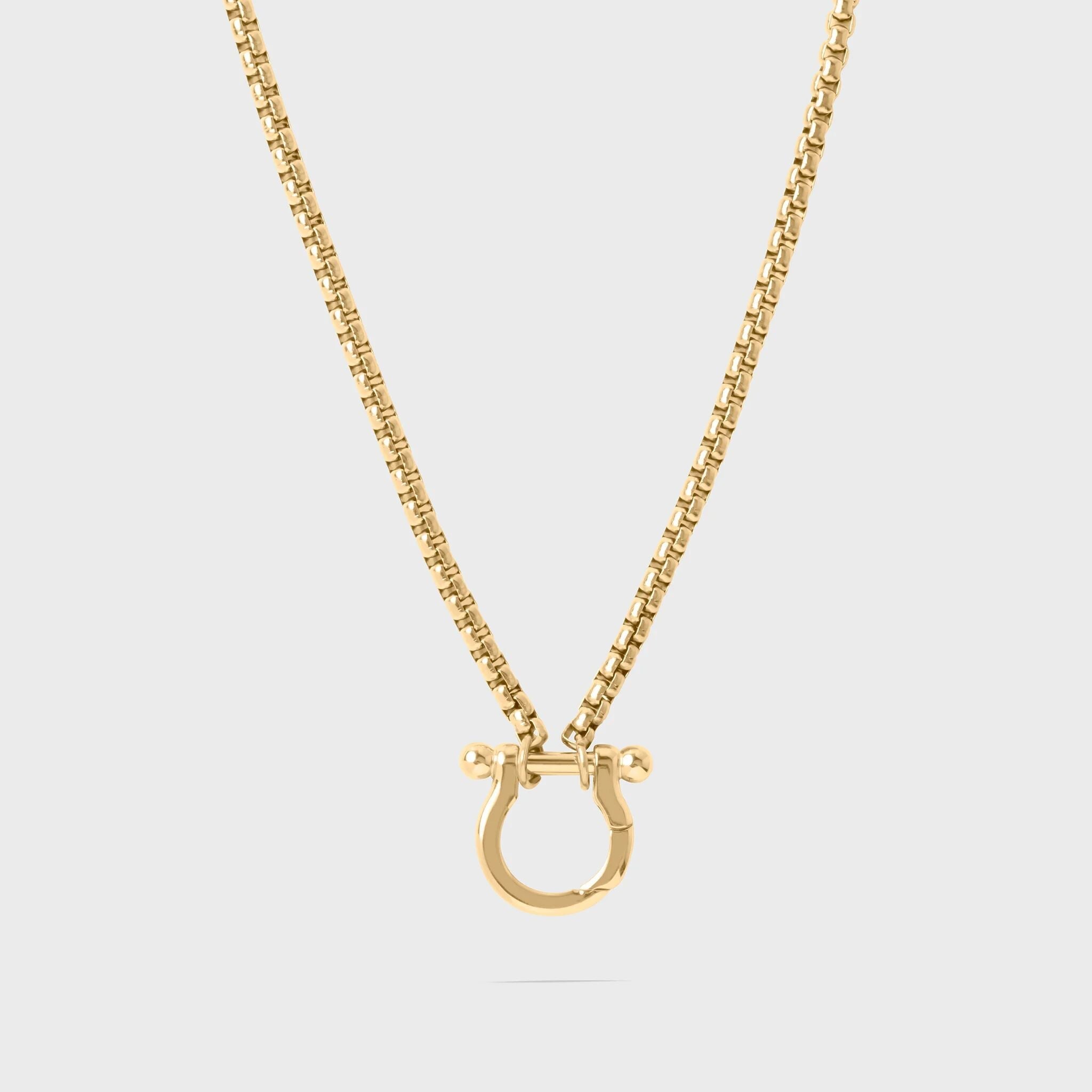 Gold necklace with a horse shoe clasp on a light gray background