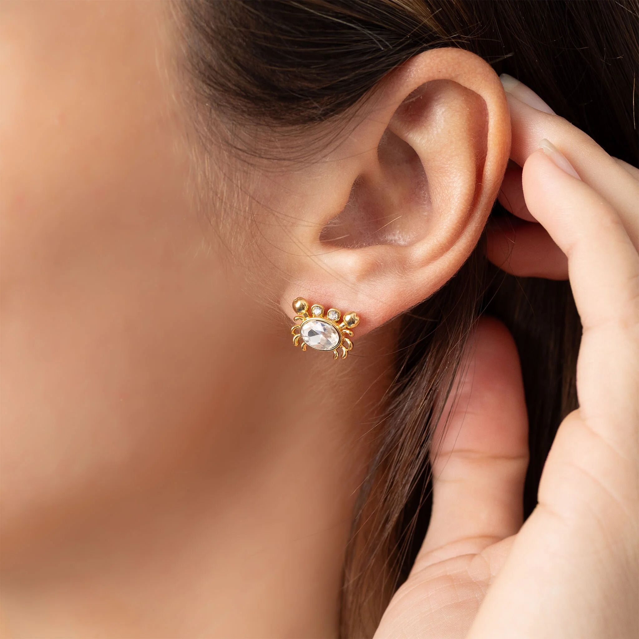 Stone Crab Earrings