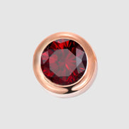 Mira Birthstone Charm in gold tone featuring birth month, product image 3