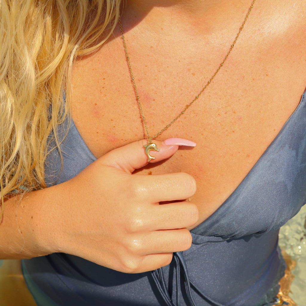 Dolphin Charm