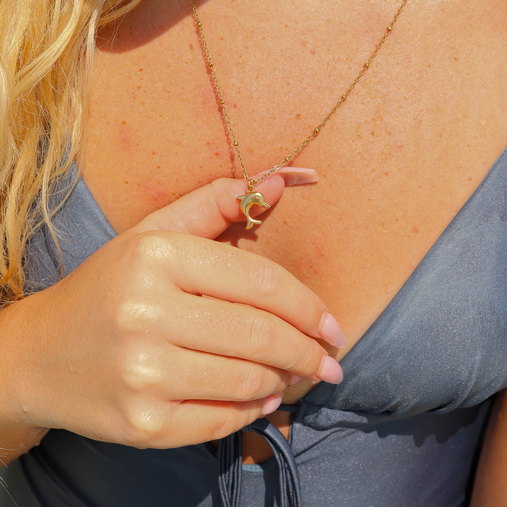 Dolphin Charm