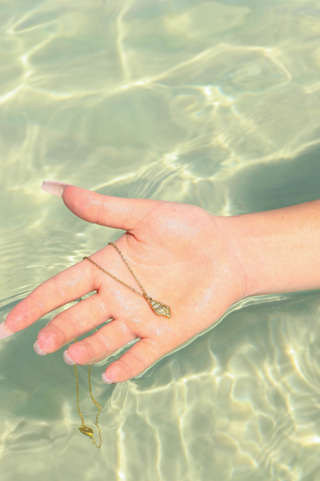 Conch Seashell Necklace