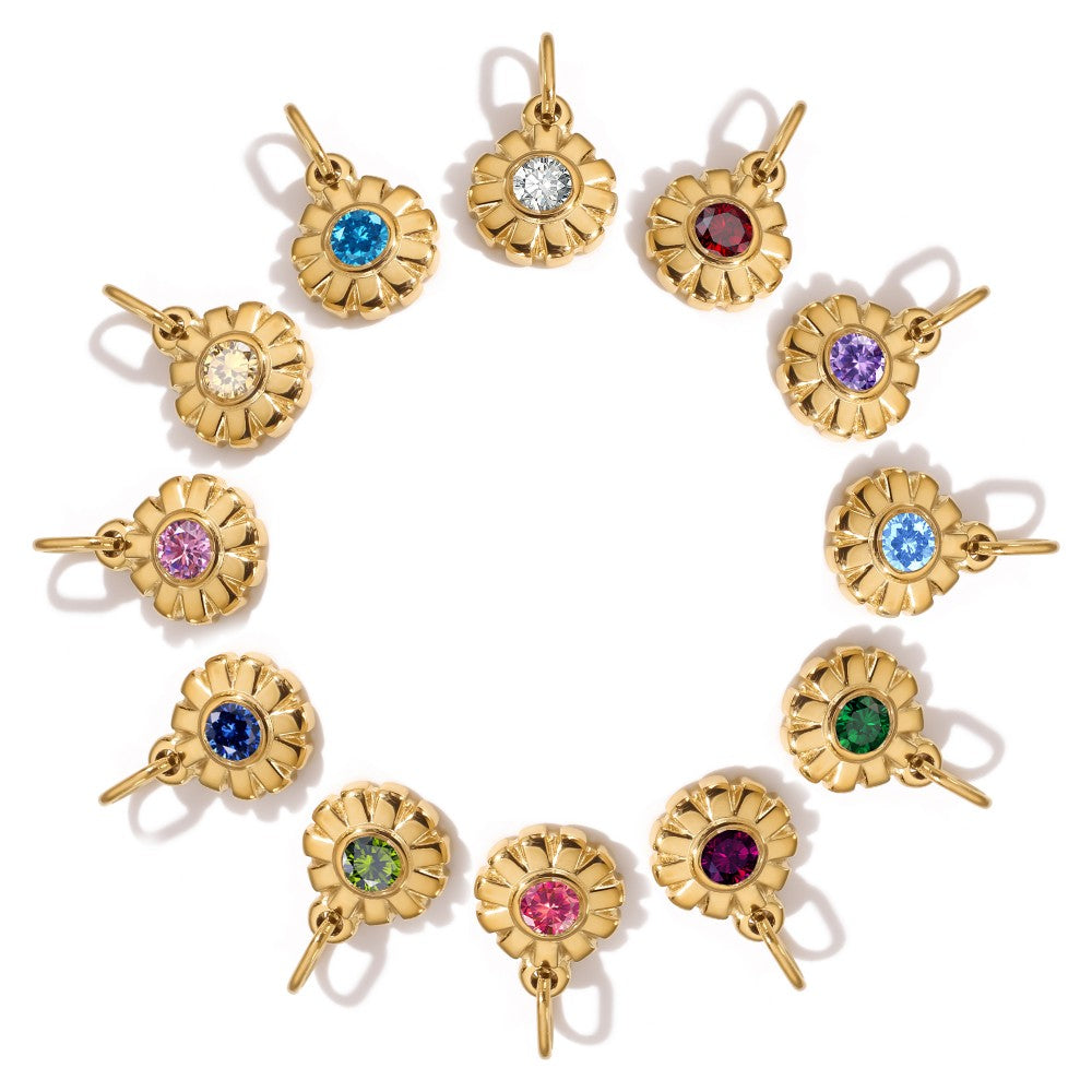 Sol Birthstone Charm in gold tone featuring birth month, product image 11