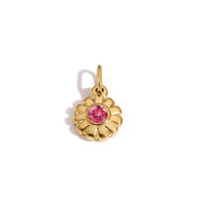 Sol Birthstone Charm in gold tone featuring birth month, product image 9