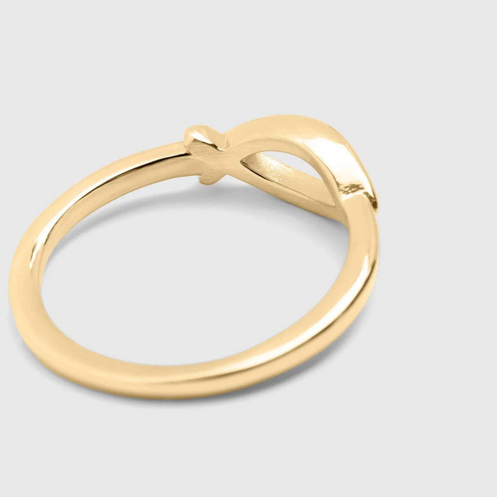 Fish Stacking Ring
