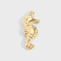 Seahorse Charm