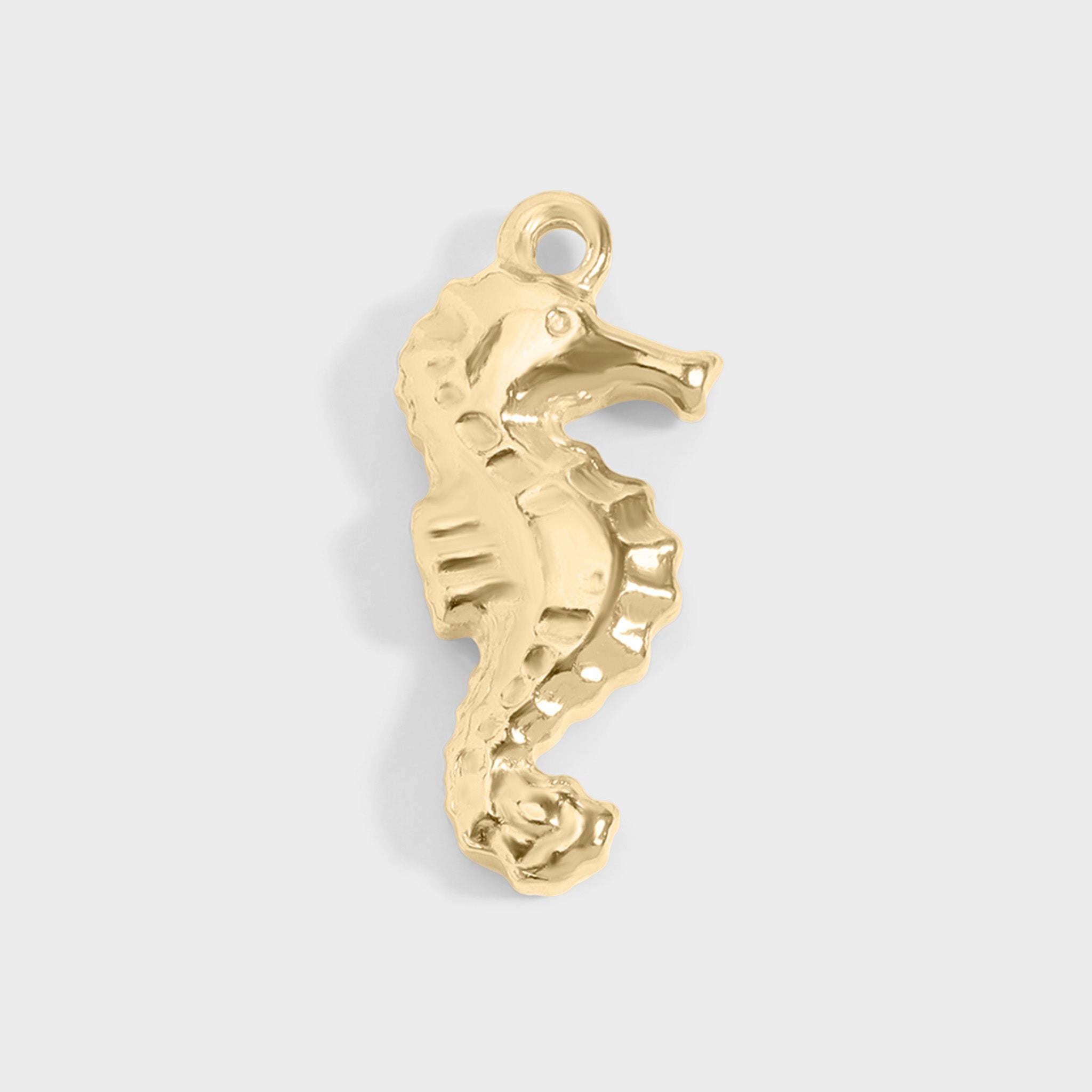 Seahorse Charm