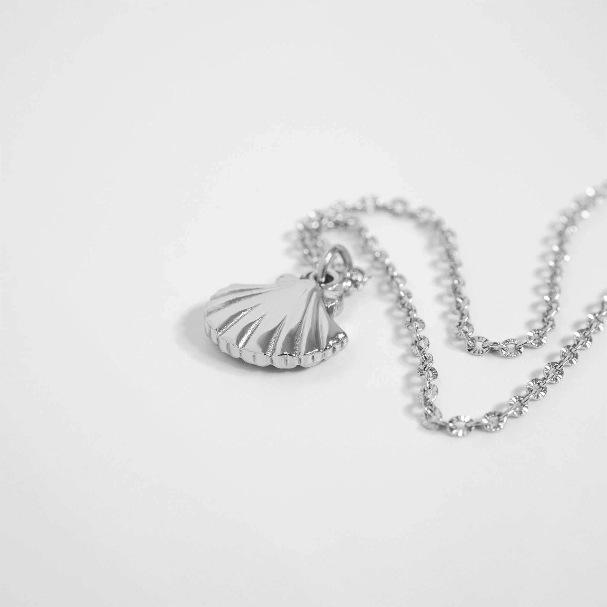 Stainless Steel Clam Shell Charm necklace