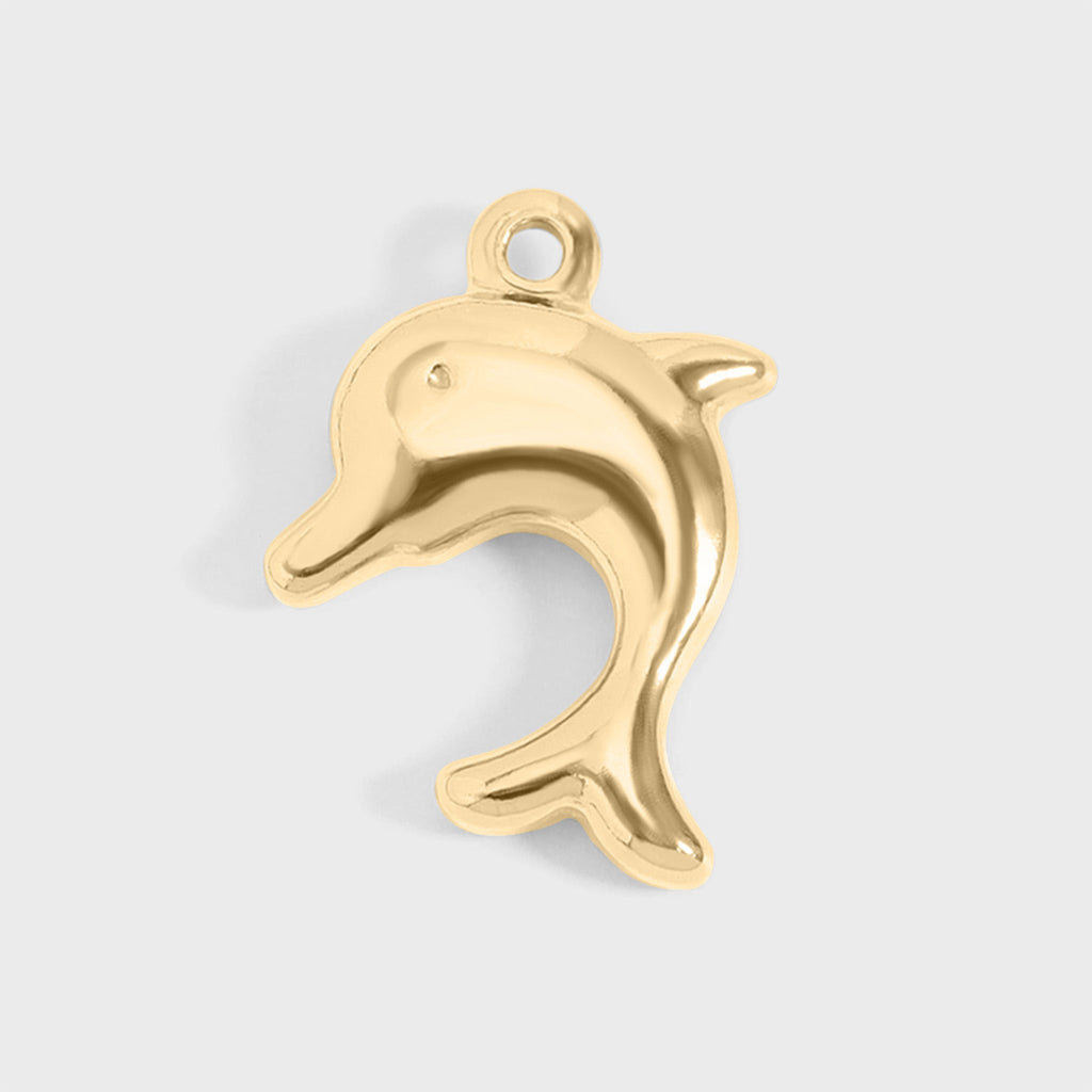 Dolphin Charm