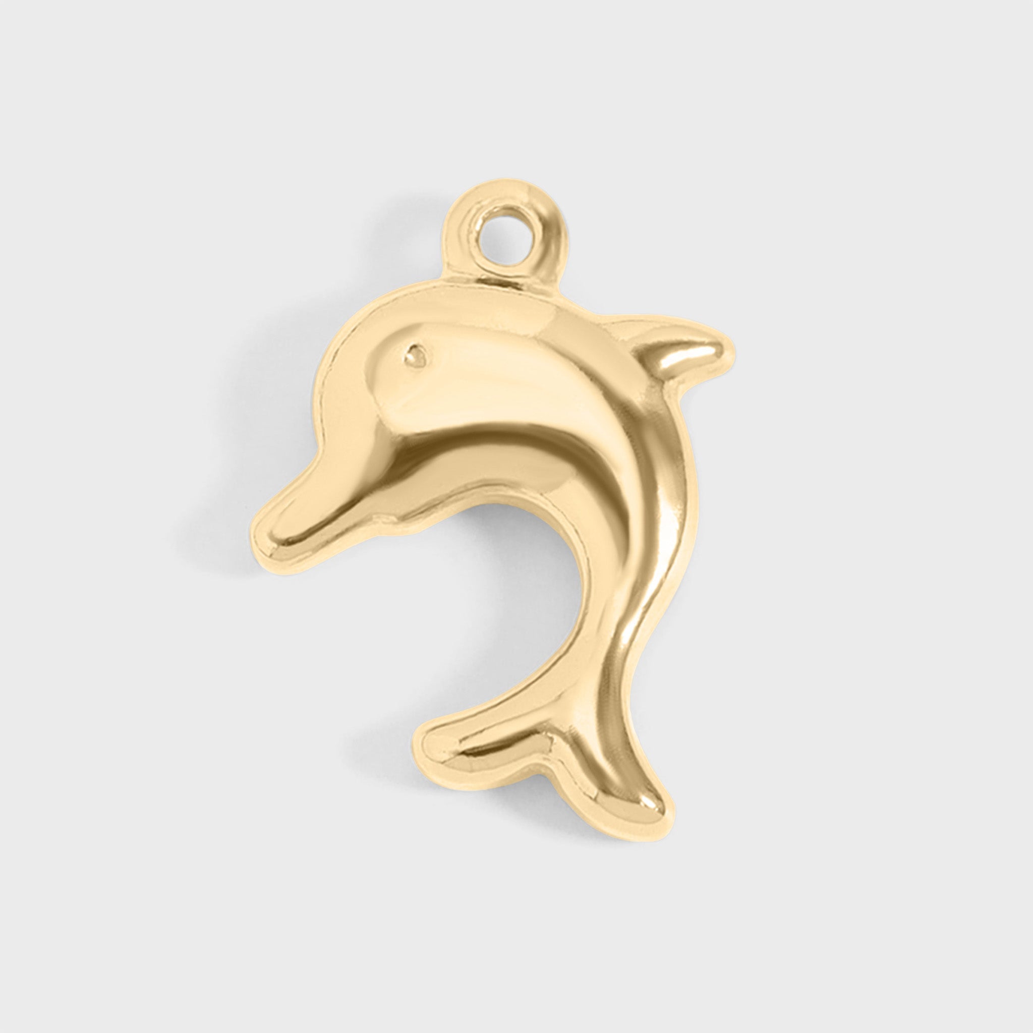Dolphin Charm