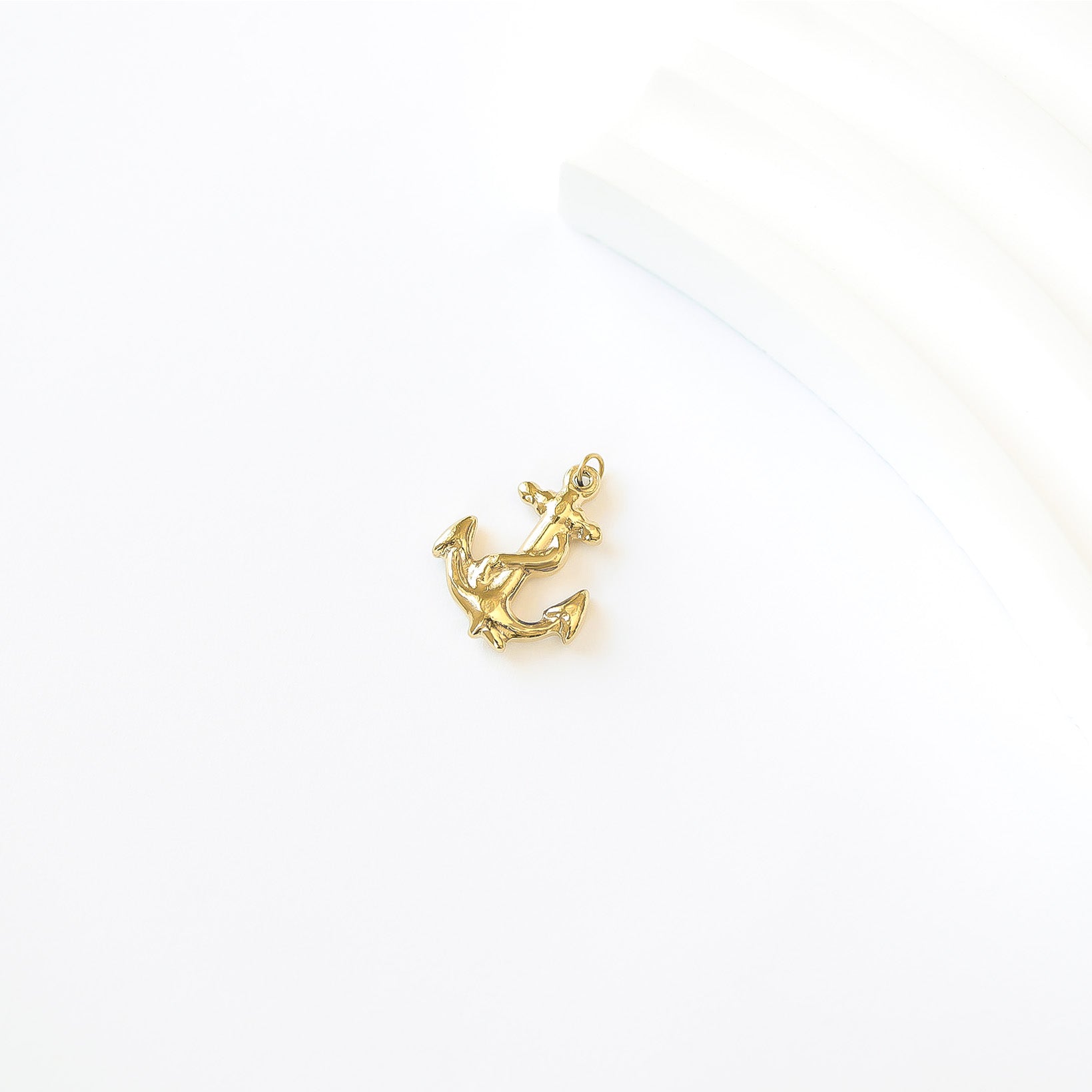 Detailed Anchor Charm