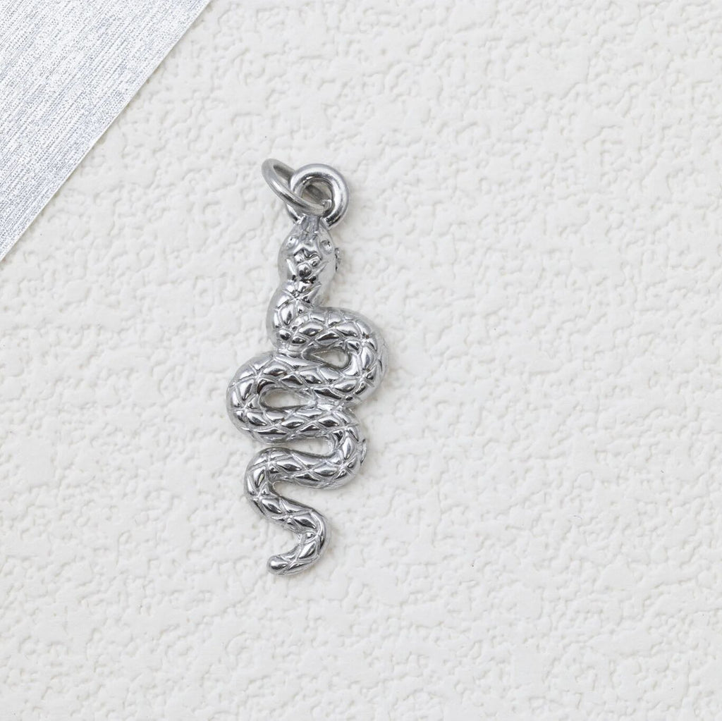 Snake Charmer- silver studio 
