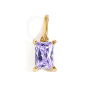 Vela Birthstone Charm in gold tone featuring birth month, product image 6