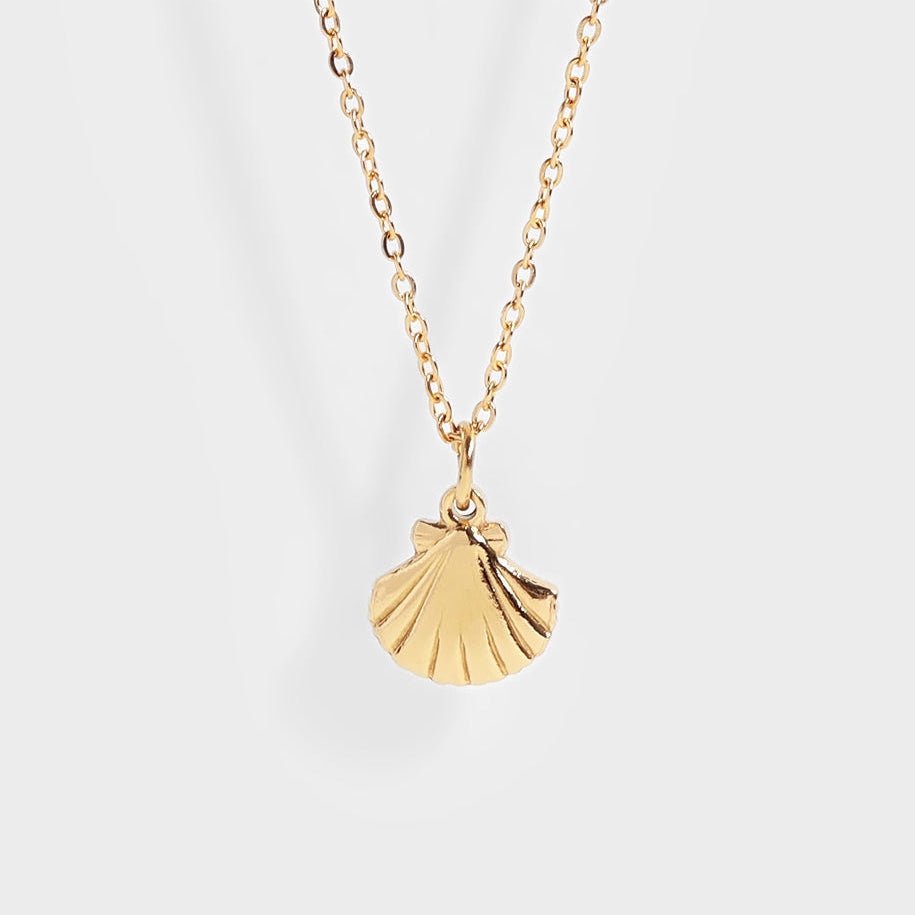 Clam Shell Necklace