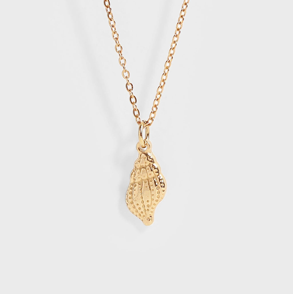 Conch Shell Necklace in gold