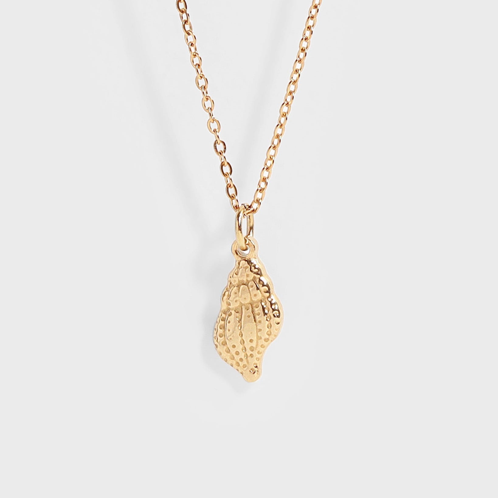 Conch Shell Necklace in gold