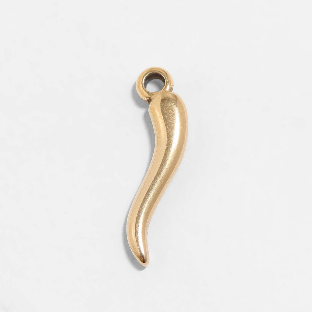 Italian Horn Charm