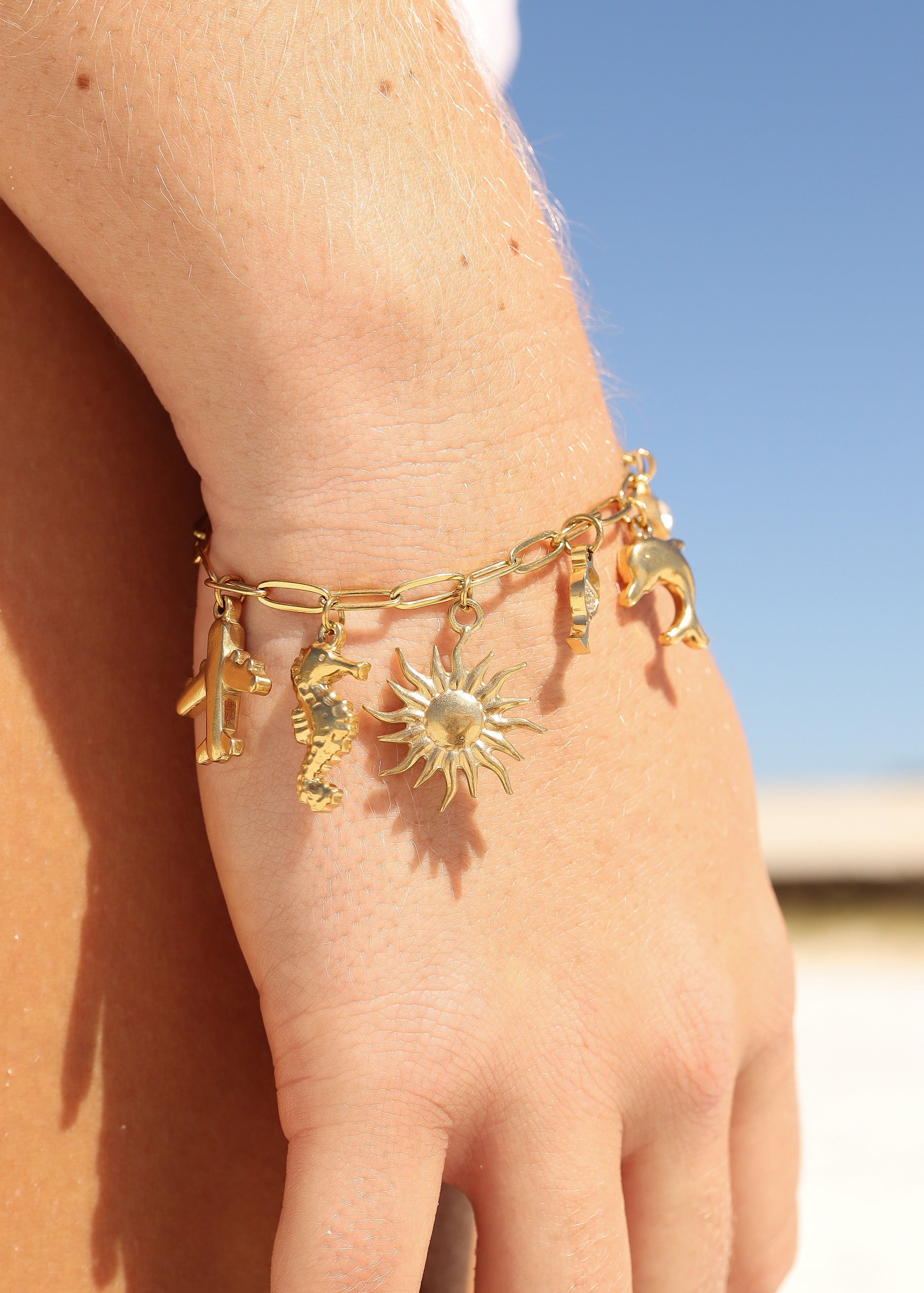 Seahorse Charm Lifestyle