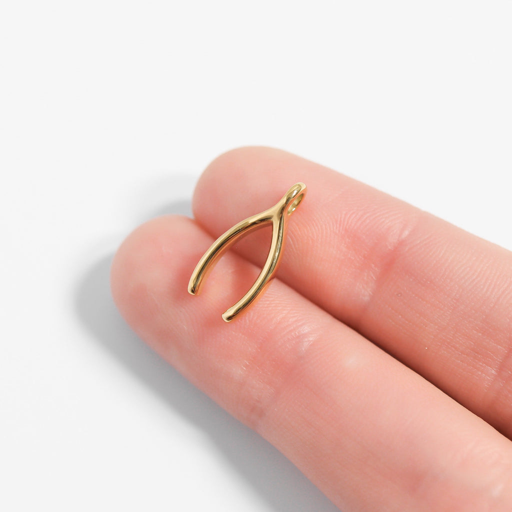 Wishbone Charm Necklace